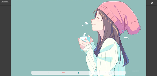 预览